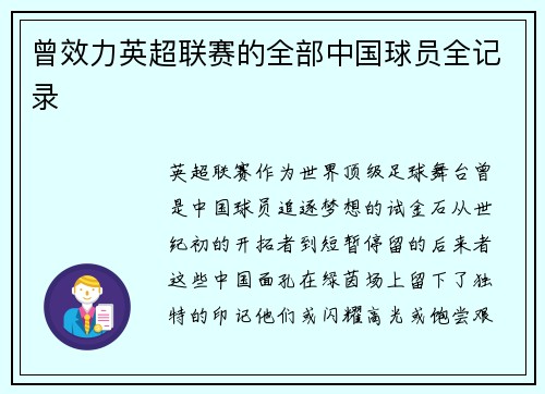 曾效力英超联赛的全部中国球员全记录